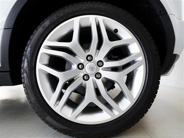 ����E�����������Ă���܂��B���C�y�ɂ����k���������B