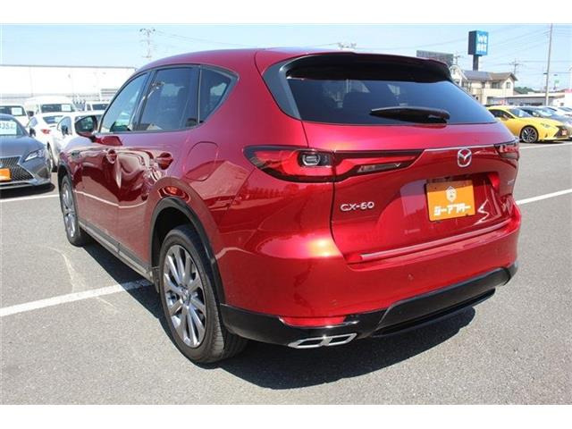 ���Ǝҗl�ւ̔̔��͂��f�肳���Ă��������܂��B �Ԍ������ԗ��̏ꍇ�́A�Ԍ����擾�������x�������z�ŕ\�����Ă���܂��B