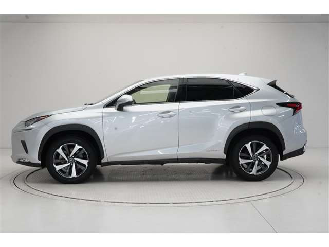 NX300h Iパッケージ 4WD