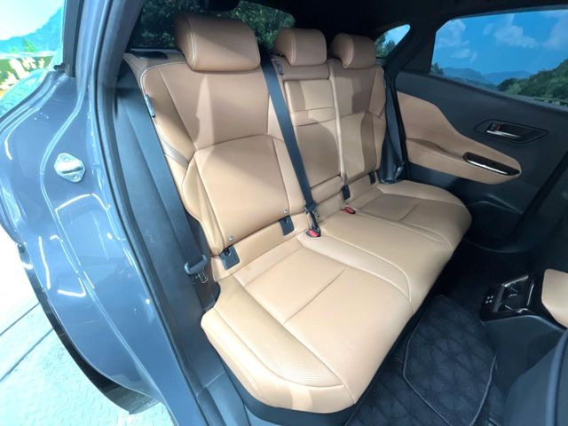 �㕔���Ȃ��C�ɂȂ�悤�ȃL�Y�E�����ւ��蓙�A�傫�ȃ_���[�W�͂Ȃ��A�ǍD�ȏ�Ԃł��B