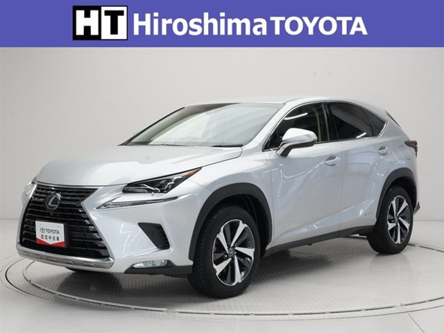 NX300h Iパッケージ 4WD