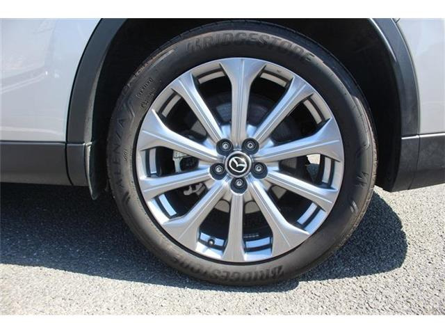 ���Ǝҗl�ւ̔̔��͂��f�肳���Ă��������܂��B �Ԍ������ԗ��̏ꍇ�́A�Ԍ����擾�������x�������z�ŕ\�����Ă���܂��B