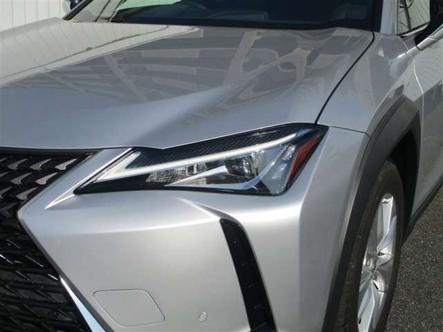 UX250h バージョンC