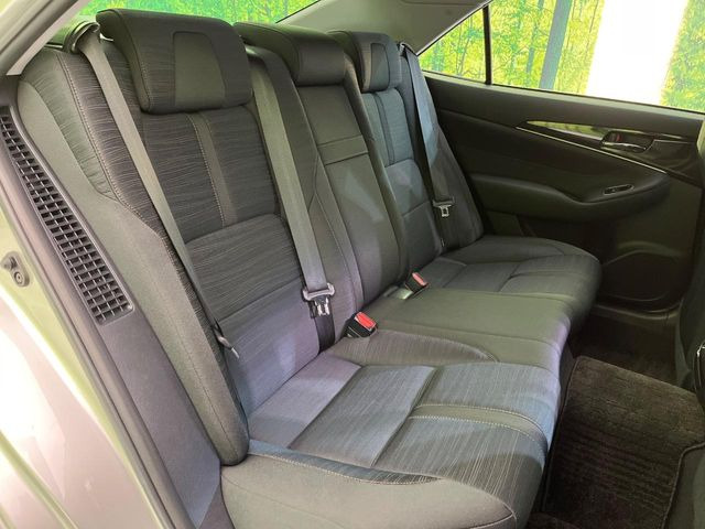 �㕔���Ȃ��C�ɂȂ�悤�ȃL�Y�E�����ւ��蓙�A�傫�ȃ_���[�W�͂Ȃ��A�ǍD�ȏ�Ԃł��B