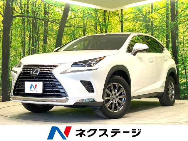 NX300h Iパッケージ