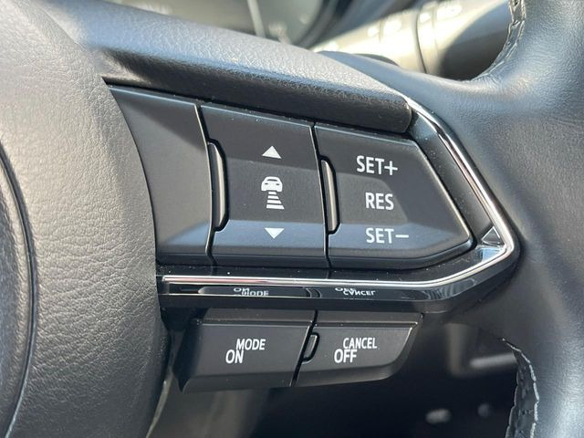 �y�}�c�_�E���[�_�[�N���[�Y�R���g���[���z�������H�ł̒��������s���y��!�����ő��x��ۂN���[�Y�R���g���[�����A�Փˌy���V�X�e���ƘA�g���A�O���̎ԗ������m���ĎԊԂ�ۂ悤�ɑ��x���߂��Ă���܂�!!