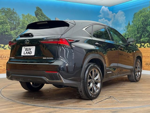 ���S���̃l�N�X�e�[�W���炨���񂹂��\��!�����̓X�܂ɓW�����Ă���N���}���C�ɂȂ�ꍇ���A�Ŋ��̓X�܂ł��������������Ƃ��\�ł�!���񎄂����ɗv�]������������������!���ʓr��p