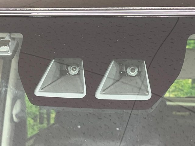 タントファンクロス