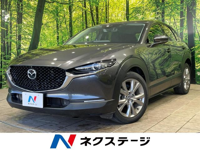 CX-302.0 20S プロアクティブ ツーリングセレクション
