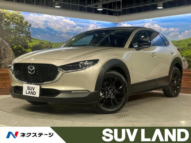 CX-302.0 20S ブラックトーンエディション