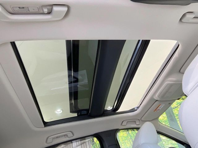 �y�T�����[�t�z�J���������Ղ�̊󏭑����A�T�����[�t����������Ă��܂�!�ԓ��ɖ�����������ꂽ��i�F���y���ވȊO�ɂ��A�ԓ��̋�C���ȒP�Ɋ��C�ł��ĉ��K�ł�!