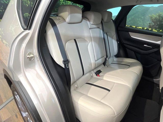 �㕔���Ȃ��C�ɂȂ�悤�ȃL�Y�E�����ւ��蓙�A�傫�ȃ_���[�W�͂Ȃ��A�ǍD�ȏ�Ԃł��B