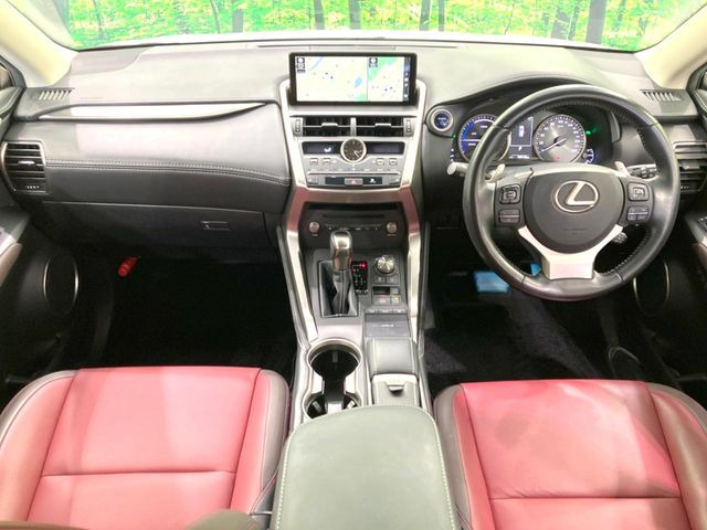 NX300h Iパッケージ