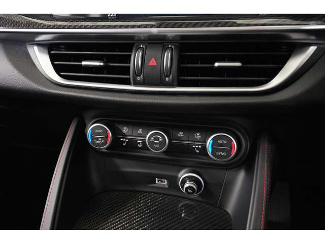 �EESTREMA�G���u�����E�_�[�NSTELVIO�G���u�����E�X�|�[�c���U�[/�A���J���^�[���V�[�g�E�J�[�{���C���e���A�p�l��