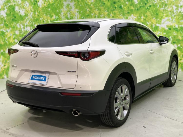 CX-302.0 20S プロアクティブ