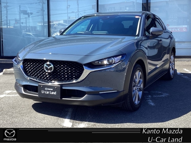 CX-301.8 XD Lパッケージ