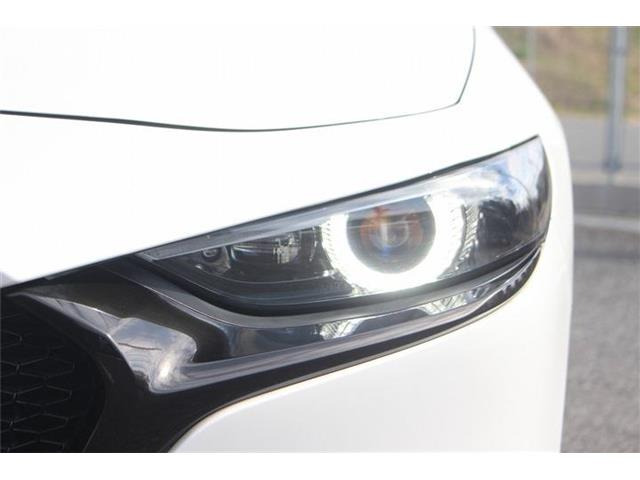 �����X�o���Ȃ����q�l�A���Ǝҗl�ւ̔̔��͂��f�肳���Ă��������܂��B�Ԍ������ԗ��̏ꍇ�́A�Ԍ����擾�������x�������z�ŕ\�����Ă���܂��B