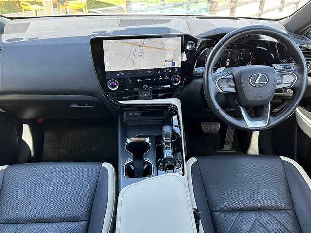 NX250 バージョンL