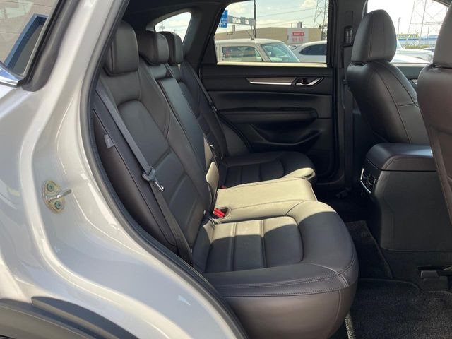 �㕔���Ȃ��C�ɂȂ�悤�ȃL�Y�E�����ւ��蓙�A�傫�ȃ_���[�W�͂Ȃ��A�ǍD�ȏ�Ԃł��B