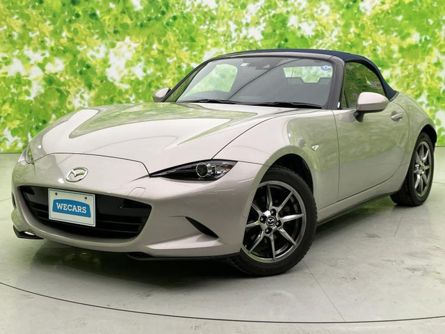 ロードスター1.5 ネイビー トップ