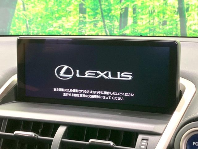 NX300h Iパッケージ