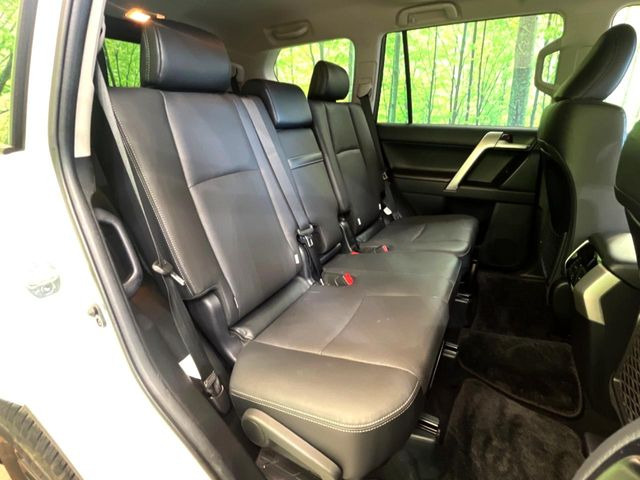 �㕔���Ȃ��C�ɂȂ�悤�ȃL�Y�E�����ւ��蓙�A�傫�ȃ_���[�W�͂Ȃ��A�ǍD�ȏ�Ԃł��B