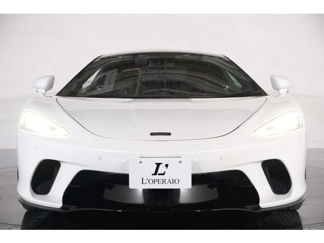 �N���[���w�b�h���C�g�x�[�����t�����g�t�F�C�X�ɏ㎿�ȃA�N�Z���g���v���X�B�X�[�p�[�J�[�ł���Ȃ��烉�O�W���A���[GT�Ƃ��Ă̐������ꂽ���͋C�����o���Ă��܂��B