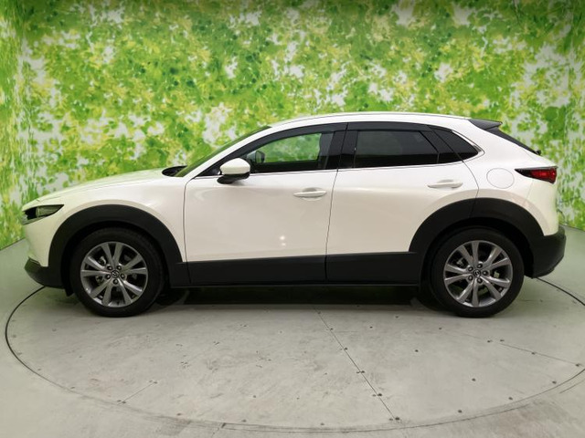 CX-302.0 20S プロアクティブ