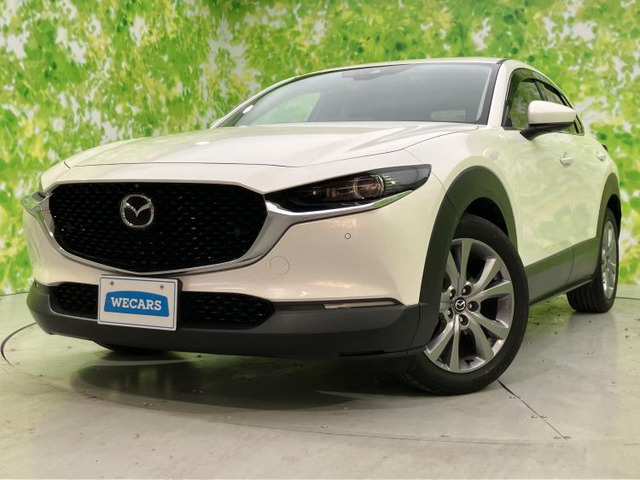 CX-302.0 20S プロアクティブ