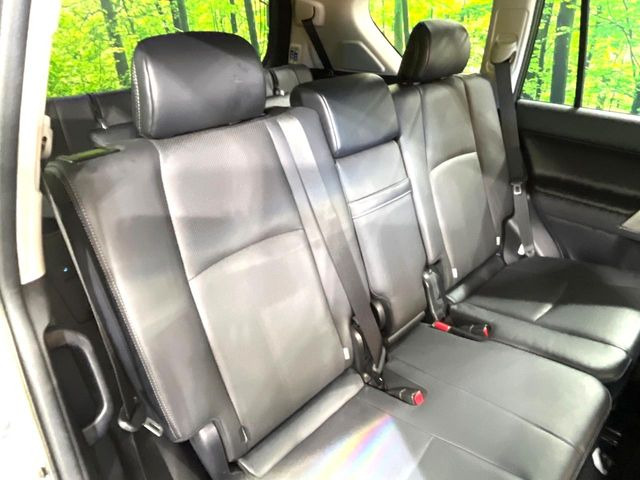 �㕔���Ȃ��C�ɂȂ�悤�ȃL�Y�E�����ւ��蓙�A�傫�ȃ_���[�W�͂Ȃ��A�ǍD�ȏ�Ԃł��B