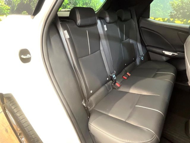 �㕔���Ȃ��C�ɂȂ�悤�ȃL�Y�E�����ւ��蓙�A�傫�ȃ_���[�W�͂Ȃ��A�ǍD�ȏ�Ԃł��B