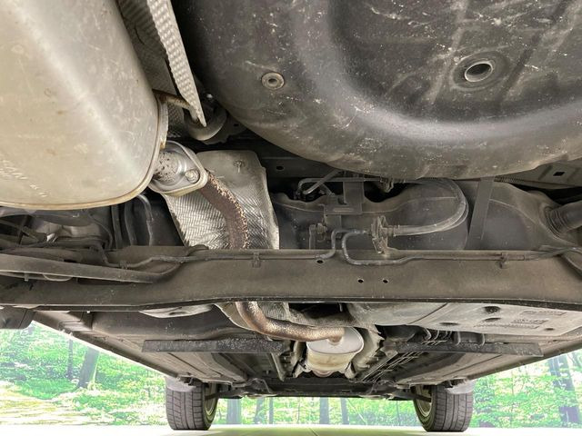 ����肪���ꂢ�Ȃ����ɁA�h�K���H�̎{�H���I�X�X���B�~��n��͂������A���ݕ��ɂ��Z���̕���A��Ń}�����E�E�B���^�[�X�|�[�c���������ɂ��D�]���������Ă���܂��B