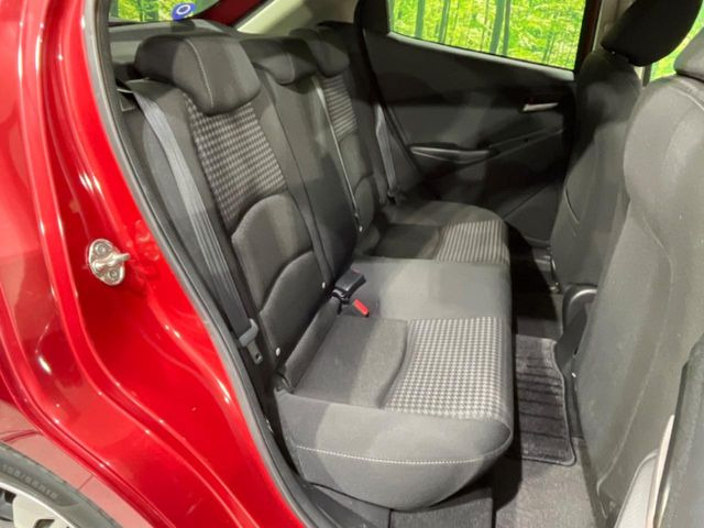 �㕔���Ȃ��C�ɂȂ�悤�ȃL�Y�E�����ւ��蓙�A�傫�ȃ_���[�W�͂Ȃ��A�ǍD�ȏ�Ԃł��B