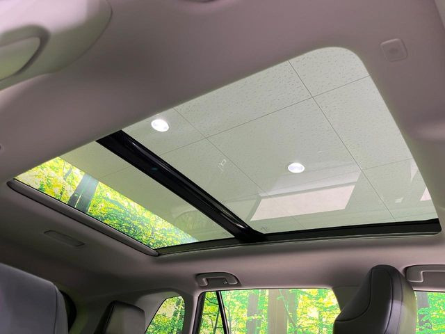 �y�T�����[�t�z�J���������Ղ�̊󏭑����A�T�����[�t����������Ă��܂�!�ԓ��ɖ�����������ꂽ��i�F���y���ވȊO�ɂ��A�ԓ��̋�C���ȒP�Ɋ��C�ł��ĉ��K�ł�!