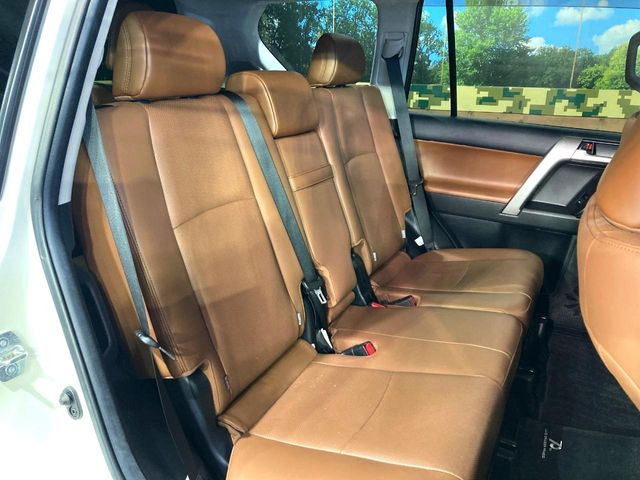 �㕔���Ȃ��C�ɂȂ�悤�ȃL�Y�E�����ւ��蓙�A�傫�ȃ_���[�W�͂Ȃ��A�ǍD�ȏ�Ԃł��B