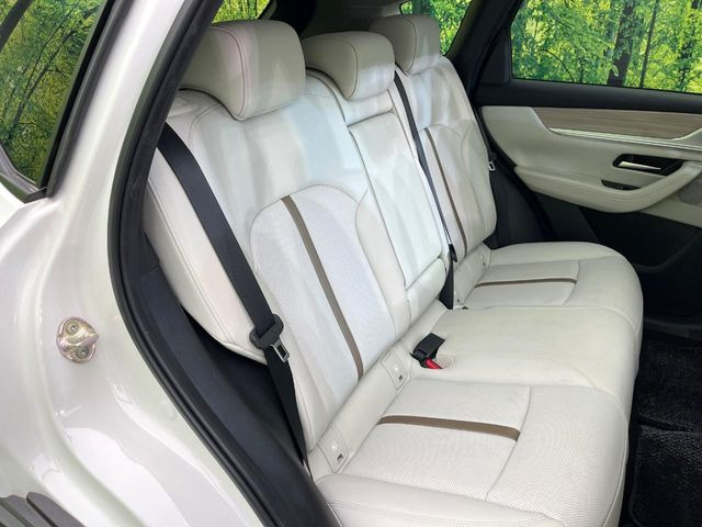 �㕔���Ȃ��C�ɂȂ�悤�ȃL�Y�E�����ւ��蓙�A�傫�ȃ_���[�W�͂Ȃ��A�ǍD�ȏ�Ԃł��B