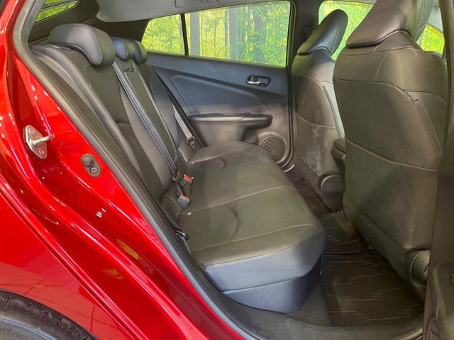 �㕔���Ȃ��C�ɂȂ�悤�ȃL�Y�E�����ւ��蓙�A�傫�ȃ_���[�W�͂Ȃ��A�ǍD�ȏ�Ԃł��B