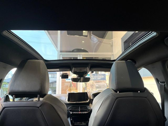 ���K���X���[�t:�唗�͂̃p�m���}���[�t�́A�㕔���Ȃɂ܂ő����Ă���A�J���I�ȋ�Ԃ����y���݂��������܂��B