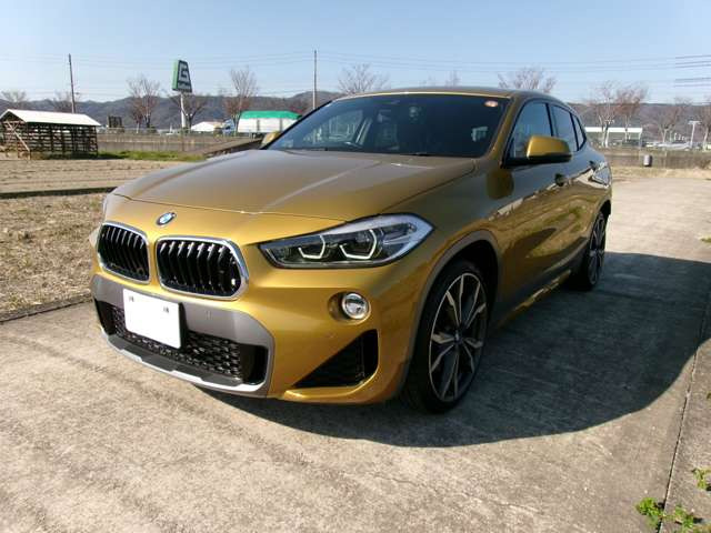 X2xドライブ20i MスポーツX 4WD