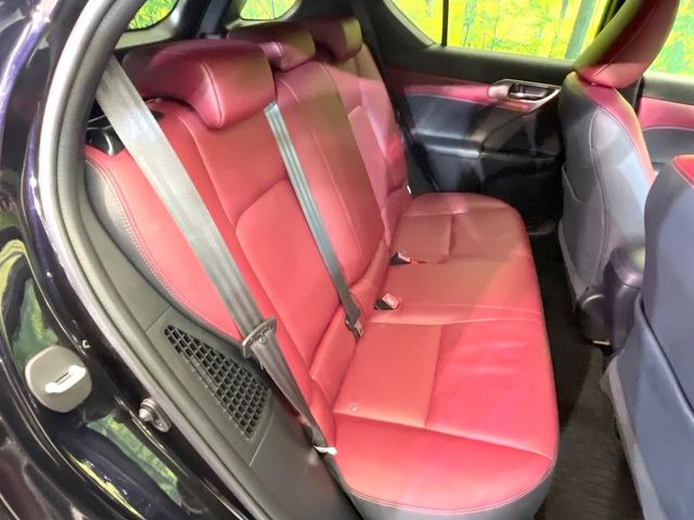 �㕔���Ȃ��C�ɂȂ�悤�ȃL�Y�E�����ւ��蓙�A�傫�ȃ_���[�W�͂Ȃ��A�ǍD�ȏ�Ԃł��B