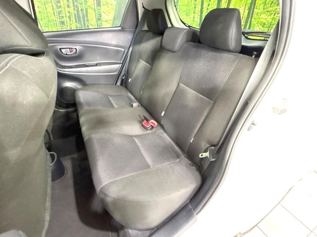 �㕔���Ȃ��C�ɂȂ�悤�ȃL�Y�E�����ւ��蓙�A�傫�ȃ_���[�W�͂Ȃ��A�ǍD�ȏ�Ԃł��B