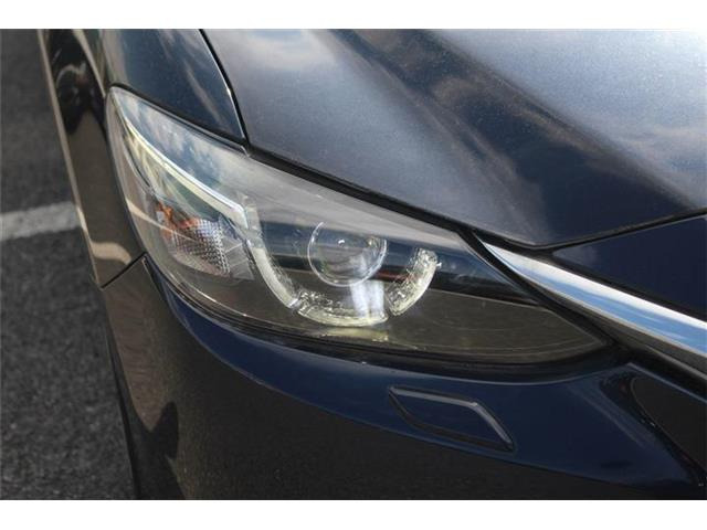 ���Ǝҗl�ւ̔̔��͂��f�肳���Ă��������܂��B �Ԍ������ԗ��̏ꍇ�́A�Ԍ����擾�������x�������z�ŕ\�����Ă���܂��B