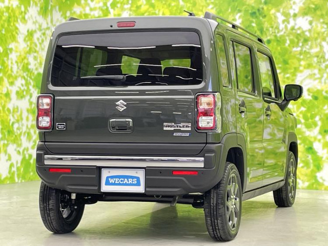 ハスラータフワイルド