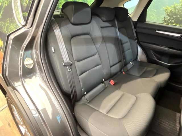 �㕔���Ȃ��C�ɂȂ�悤�ȃL�Y�E�����ւ��蓙�A�傫�ȃ_���[�W�͂Ȃ��A�ǍD�ȏ�Ԃł��B