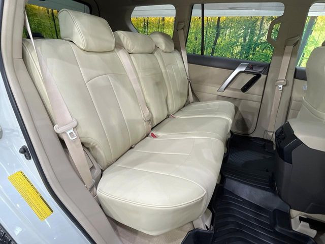 �㕔���Ȃ��C�ɂȂ�悤�ȃL�Y�E�����ւ��蓙�A�傫�ȃ_���[�W�͂Ȃ��A�ǍD�ȏ�Ԃł��B