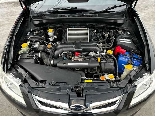 ���|�ς݂Ŕ��ɂ��ꂢ�ł���!!