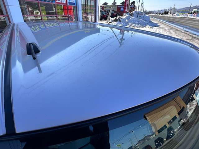 ルーフに凹凸見られません。