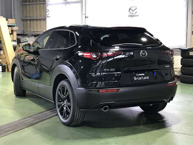 CX-301.8 XD レトロスポーツエディション 4WD