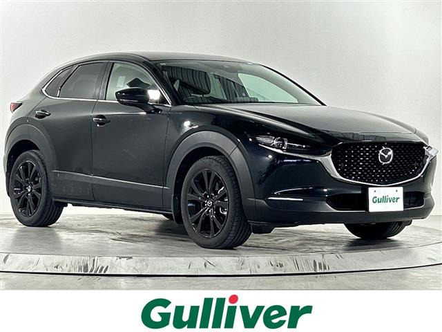 CX-301.8 XD ブラックトーンエディション