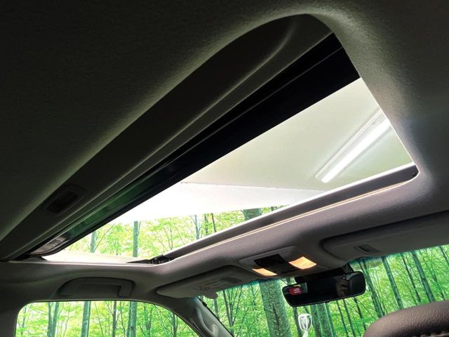 �y�T�����[�t�z�J���������Ղ�̊󏭑����A�T�����[�t����������Ă��܂�!�ԓ��ɖ�����������ꂽ��i�F���y���ވȊO�ɂ��A�ԓ��̋�C���ȒP�Ɋ��C�ł��ĉ��K�ł�!